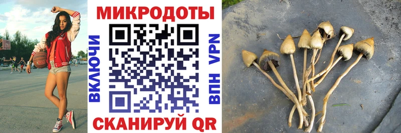Галлюциногенные грибы MAGIC MUSHROOMS  Мантурово 